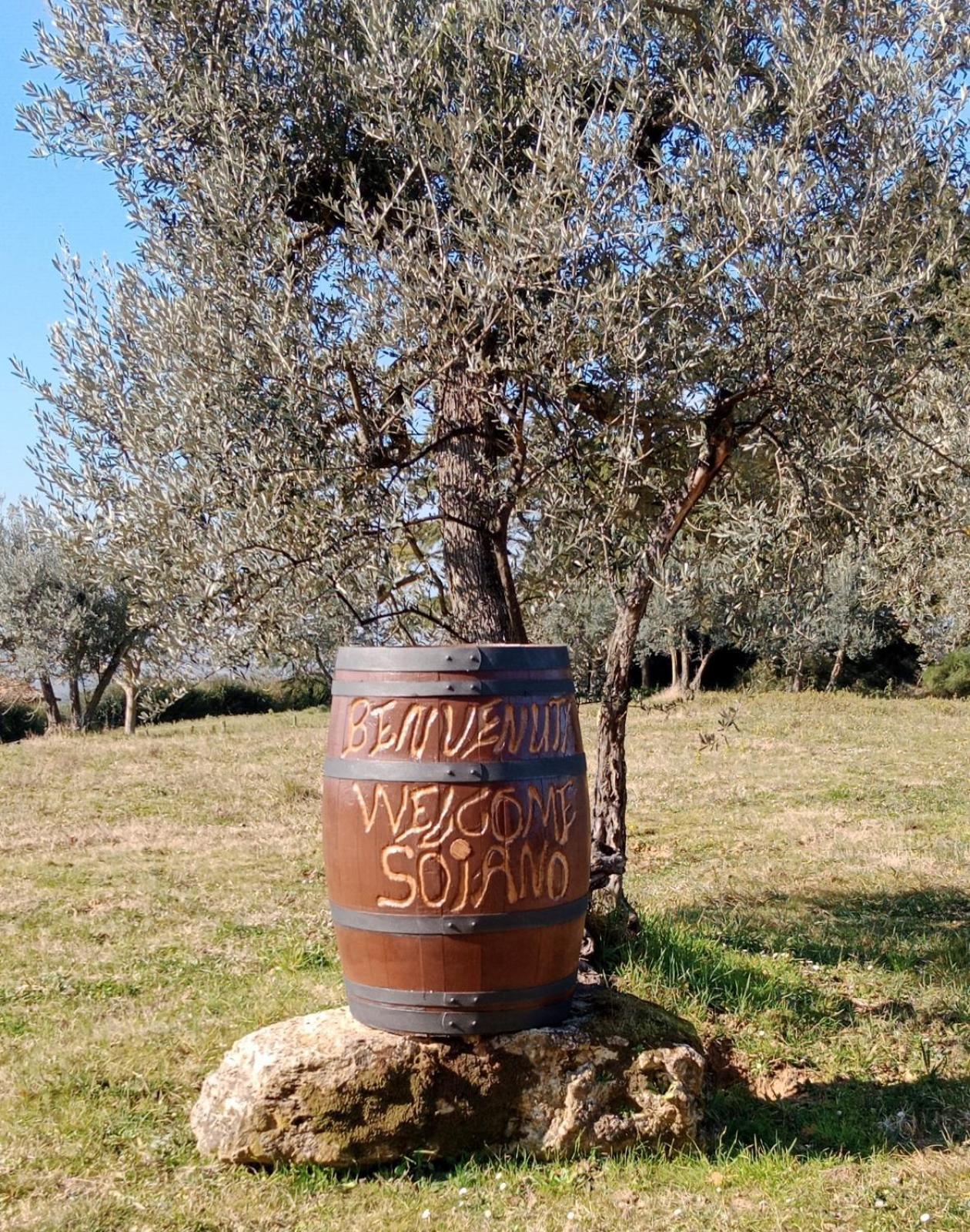 Agriturismo Soiano Famiglia Rolfini Montaione Exterior photo